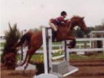jumping1.jpg