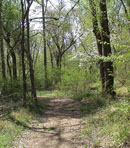 trail15c.jpg